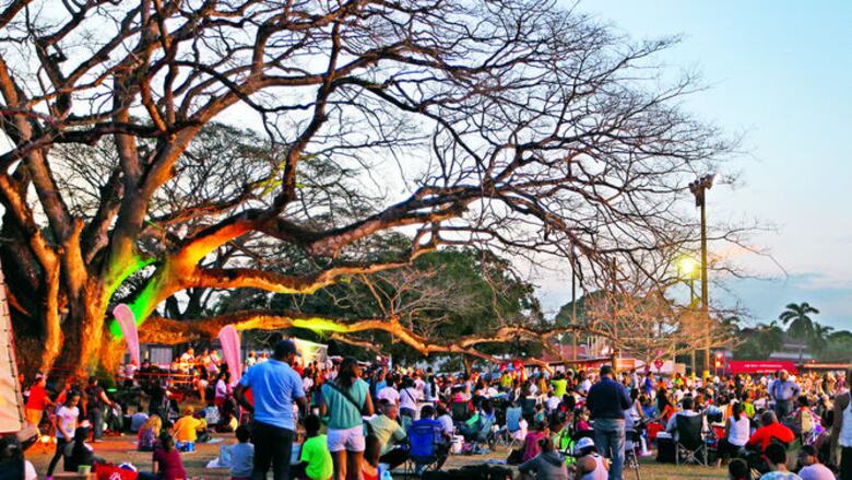 Tambores, música y cosmos