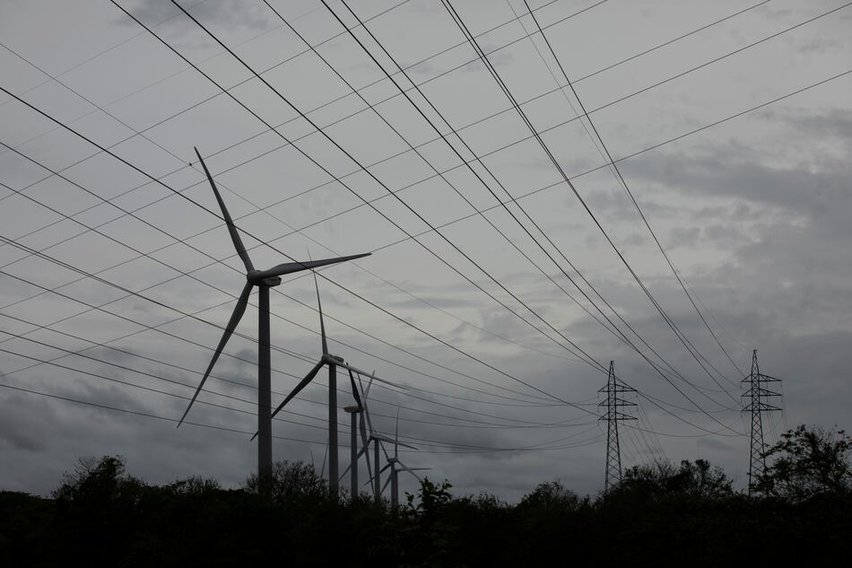 125 empresas interesadas en licitación a largo plazo para suministro de energía renovable