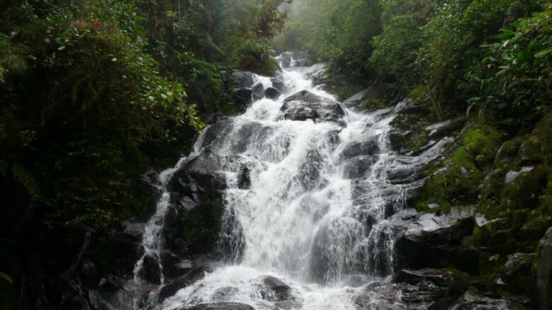 Cierran entrada a los parques La Amistad y Volcán Barú por bajas temperaturas