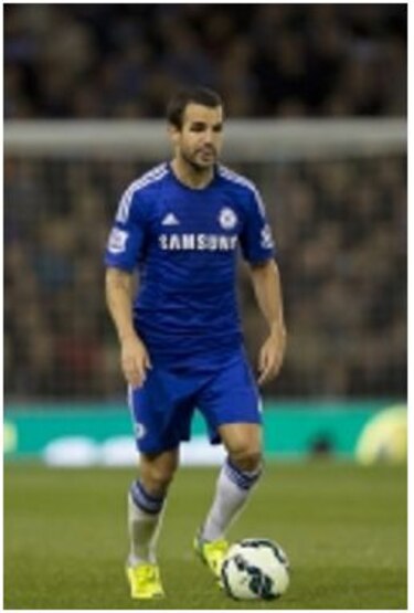 Cesc, directo a pasar una prueba que dictamine si se queda con la selección