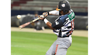 La Fedebeis da a conocer los campeones