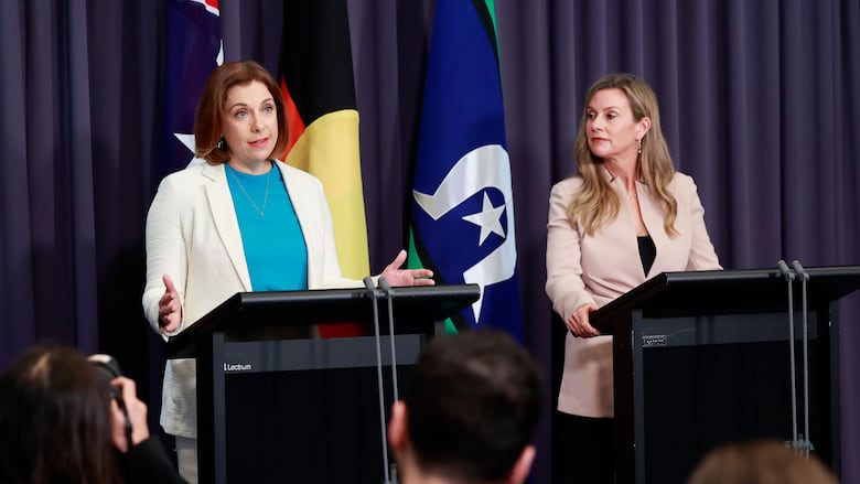 "Conseguí una foto de mi madre, la puse delante de la cámara y me dijo 'gracias por verificar tu edad'": los desafíos que enfrenta Australia para prohibir el acceso de los menores de 16 años a las redes sociales