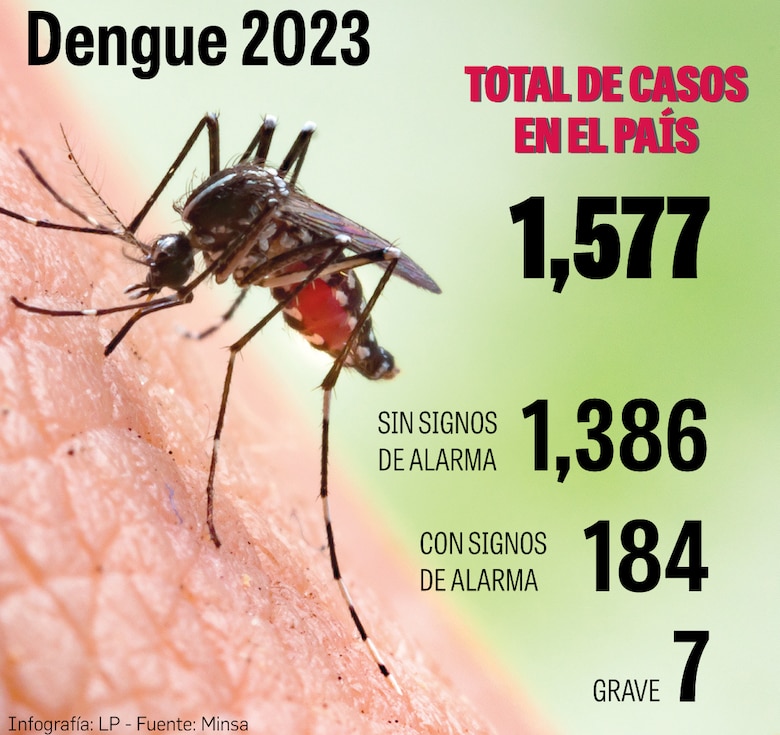 Científicos brasileños advierten de un posible brote de dengue en las Américas