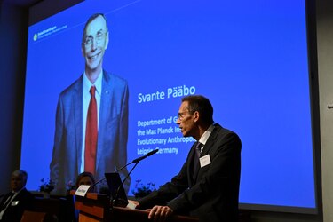 Padre de la paleogenómica gana el Nobel de Medicina