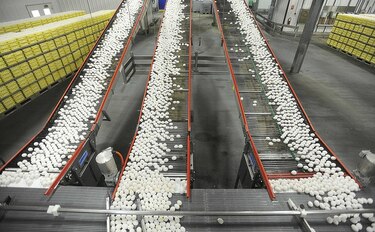 Demandan a California por ley sobre huevo