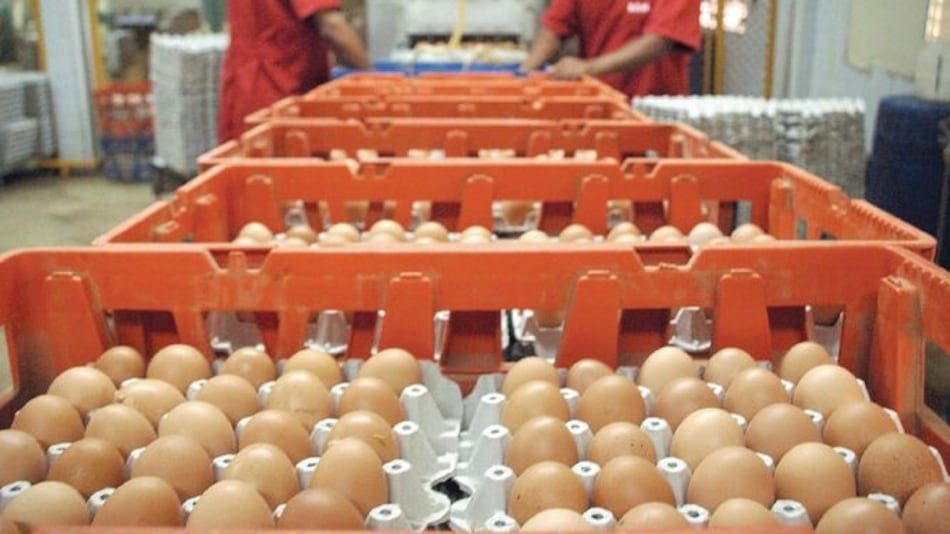 Industria carece de datos para definir planes a futuro