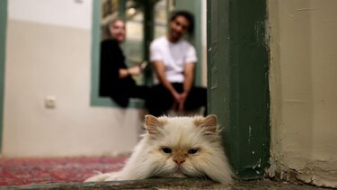 ‘No he conseguido convencer a mis padres para que abandonen su casa’: el miedo de un reportero de la BBC por su familia en Teherán