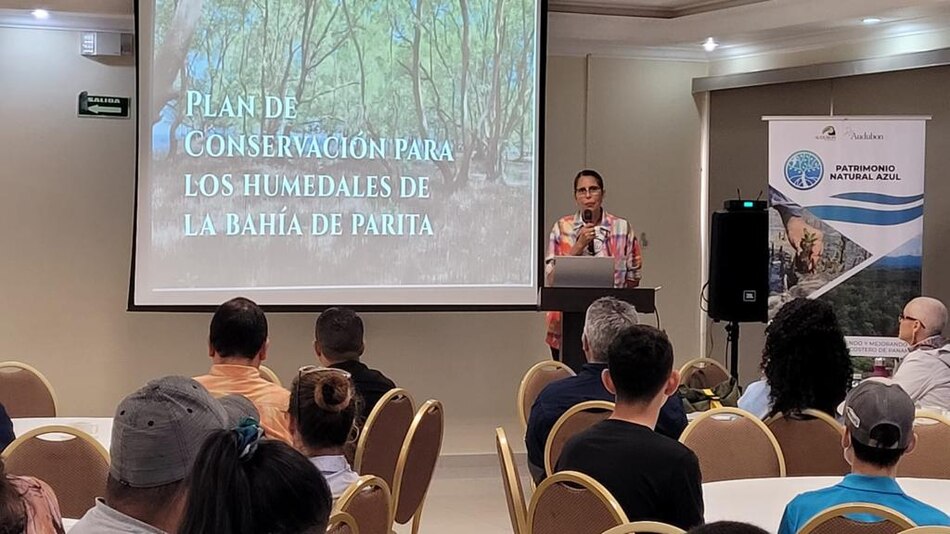 La Sociedad Audubon lanza un plan de conservación para los humedales de la bahía de Parita