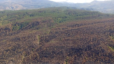 Incendio en La Yeguada fue sofocado en su totalidad, informan bomberos