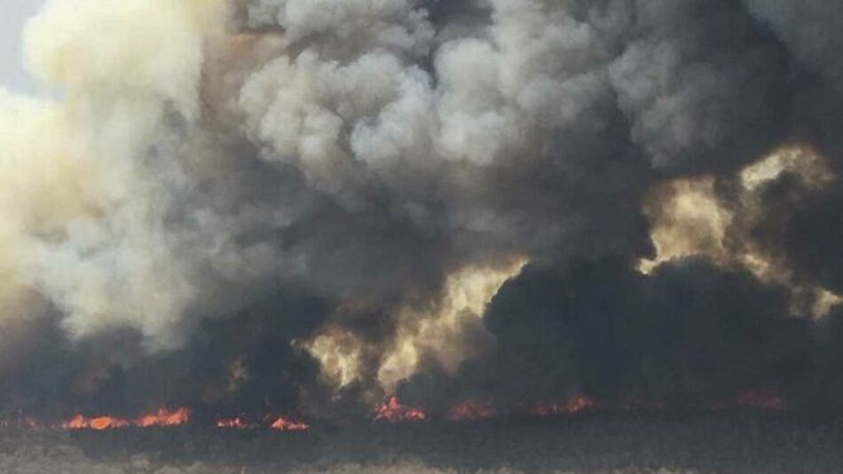 Dos panameños viajan a Bolivia para combatir incendios forestales