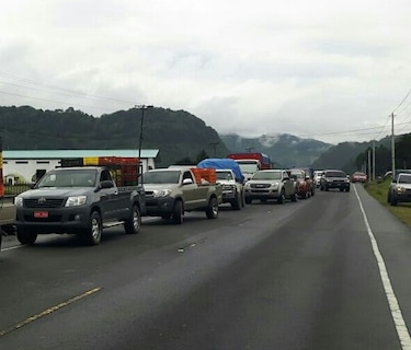 Chiriquí: Comerciantes de cebollas se quejan por problemas de comercialización