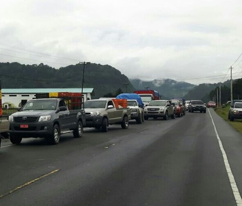 Chiriquí: Comerciantes de cebollas se quejan por problemas de comercialización