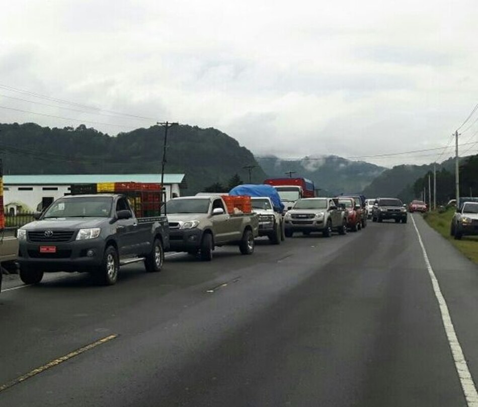 Chiriquí: Comerciantes de cebollas se quejan por problemas de comercialización