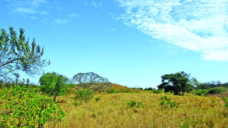 Critican aportes a la Iglesia católica