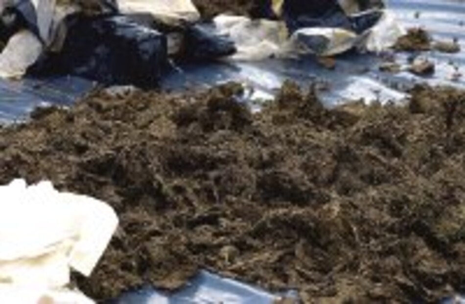 Luis Arce Gómez será deportado a Bolivia