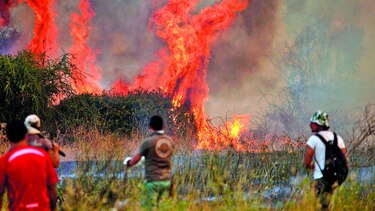 9 mil personas combaten incendios forestales