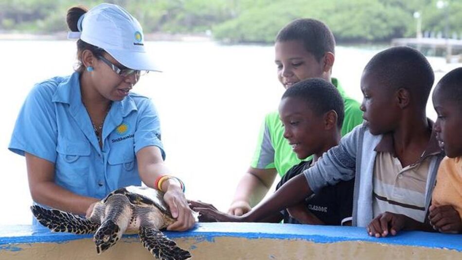 Tiempo de excursión