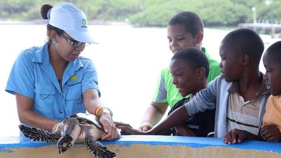 Tiempo de excursión