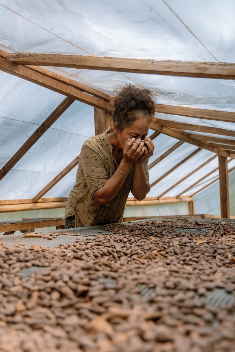 Las dos caras del cacao