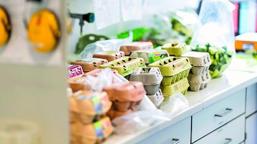 Crisis de huevos contaminados se extiende a Francia y Reino Unido
