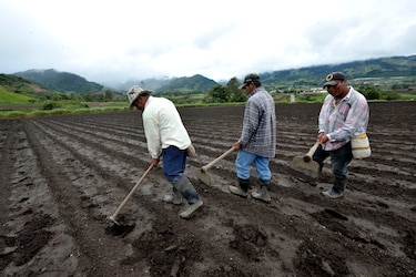 Aunque la comida cuesta más, los productores ganan menos