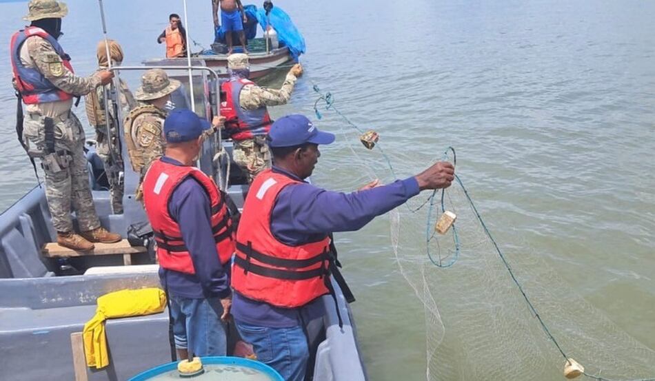 La veda del camarón en Panamá sigue vigente hasta la próxima semana