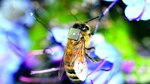 Dispositivos para la conservación