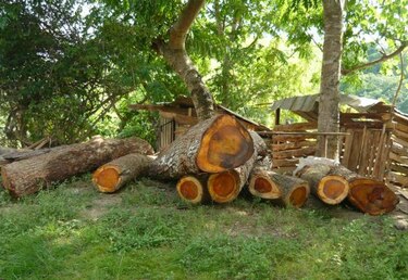 Anam decomisa cargamento de madera en Los Santos