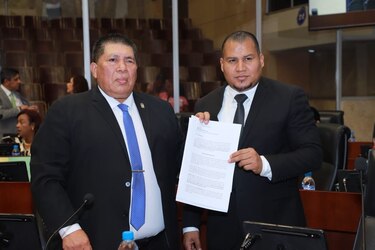 Iniciativa de ley propone sanciones a dueños de perros de la raza pitbull que causen lesiones