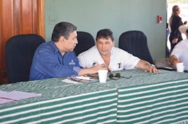 Mida ignora el origen de la brucelosis bovina