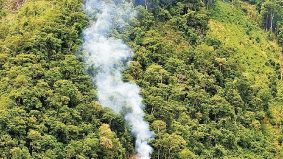 Deforestación en la zona de Amazonía alcanza 9,762 km2