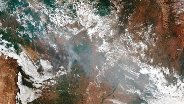 La agonía del Amazonas