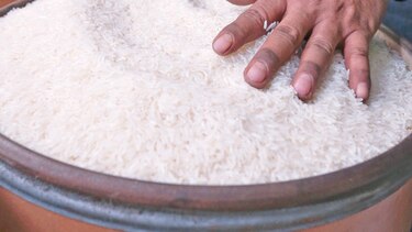 Plan  piloto con arroz  fortificado