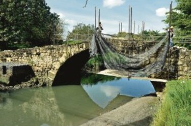 Dan mantenimiento al Puente del Rey