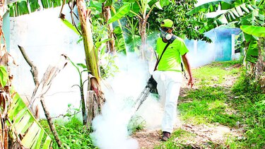 Declaran a Ustupu área epidemiológica