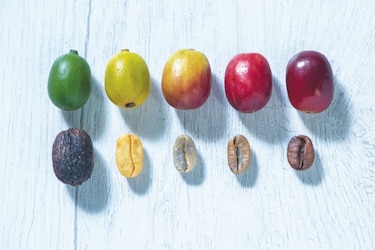 La taza de café perfecta que se degusta en Panamá