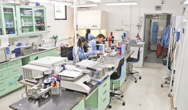 El Gorgas lidera estudio con británicos