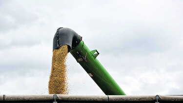 Cosecha de soja impulsa envíos brasileños