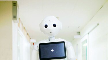 Robot de compañía