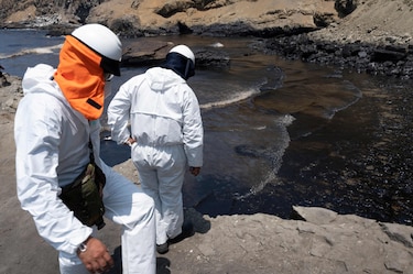 Playas y fauna marina afectadas por derrame