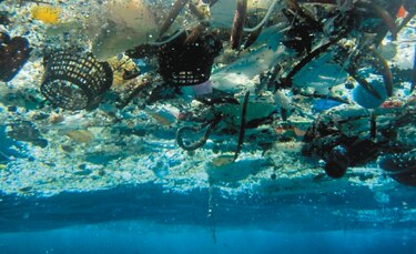 Diálogo por la biodiversidad