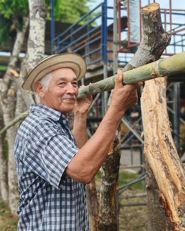 ¿Cuánto cuesta mantener viva la tradición? El reto económico del Festival de la Mejorana