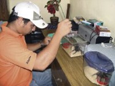 INNOVA Ocho patas, un estudio