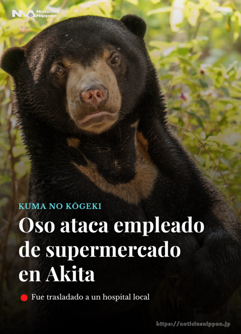 Un hombre es atacado por un oso en un supermercado del noreste de Japón