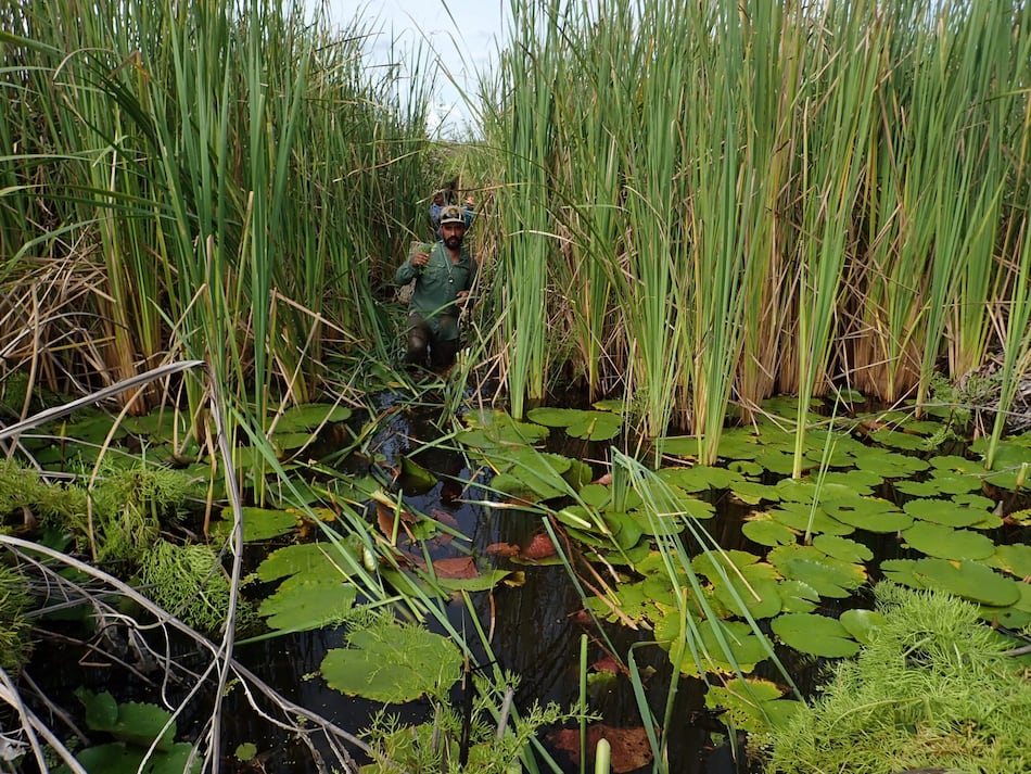 Humedal Matusaragatí: La verdadera extensión es de 56 mil hectáreas