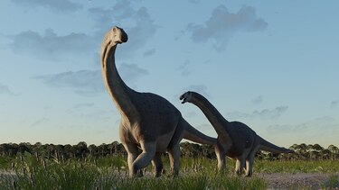 Hallado un nuevo dinosaurio que vivió en la Patagonia argentina durante la gran extinción