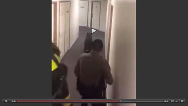 Video: Oso sube dos pisos de un edificio para robar comida de una refrigeradora