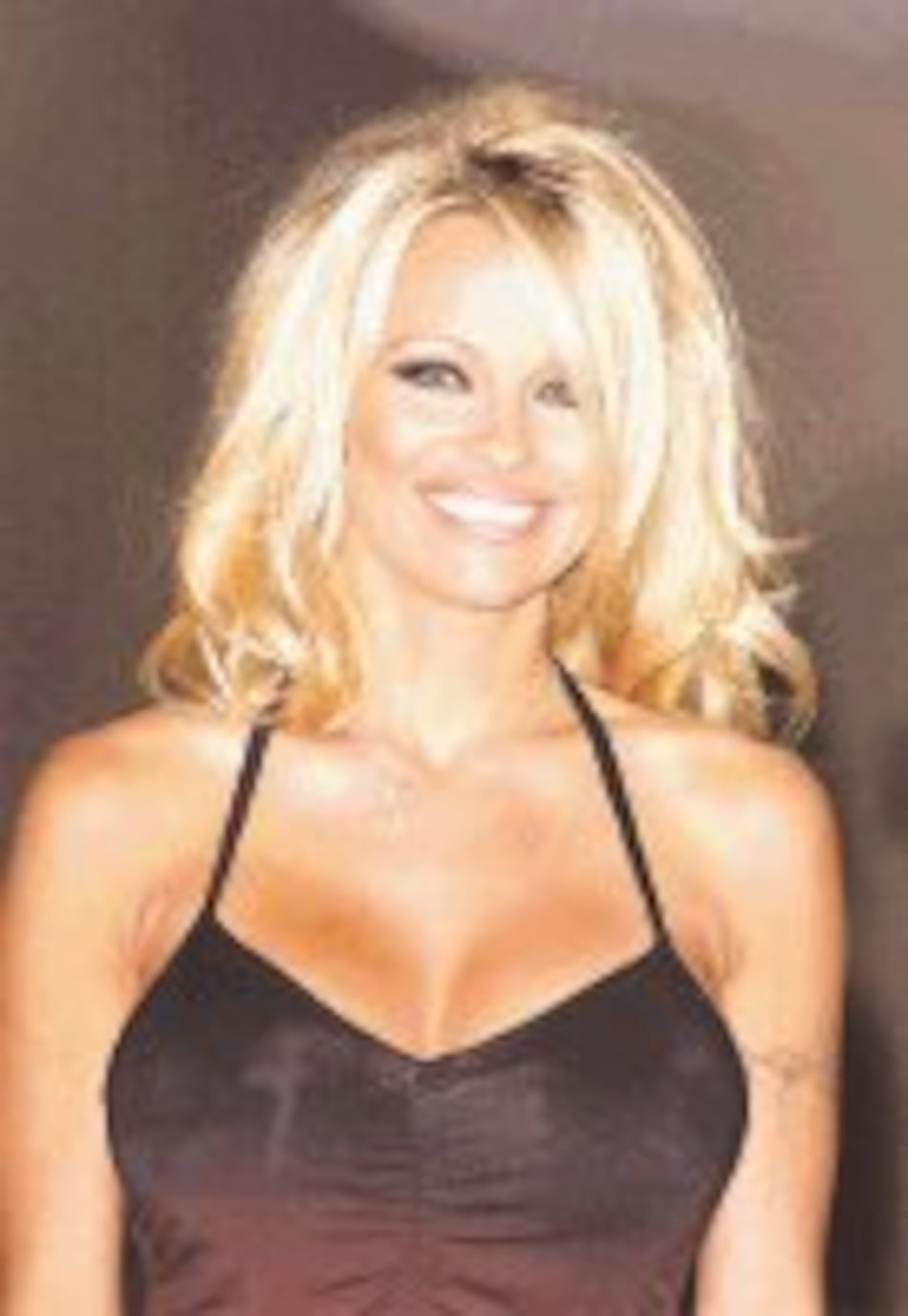 Favoritos en la internet