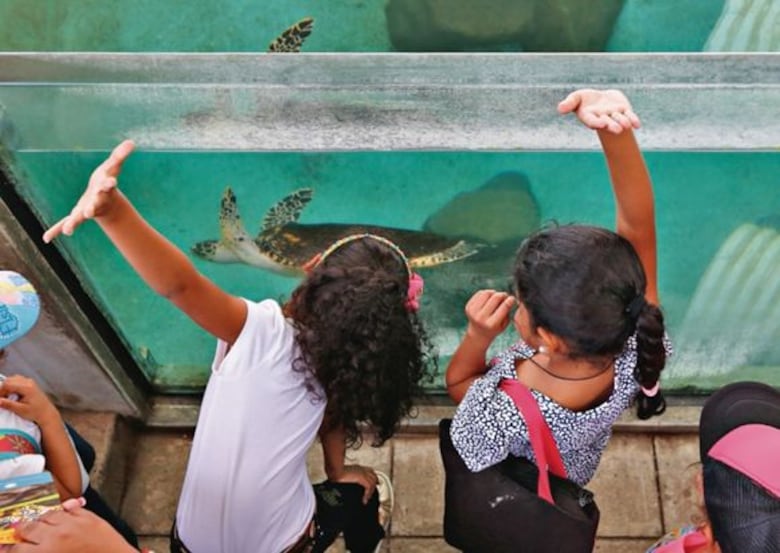 Un hogar fuera del caparazón