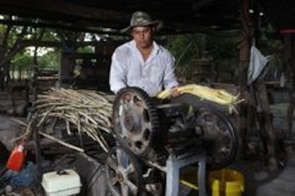 Raspadura, el tradicional dulce de caña